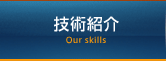 ѾҲOur skills